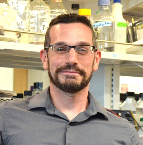 Daniel Summers, PhD Daniel Summers, PhD