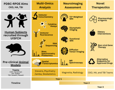 A schematic outlines a 3-year research plan for the Pediatric Developing Brain Collaborative