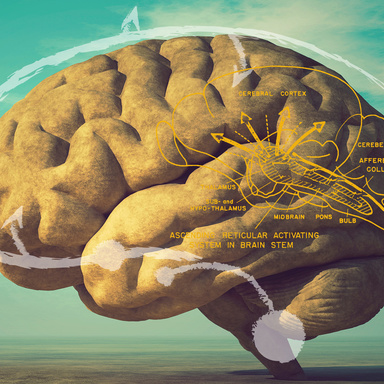 Boes Brain Cover