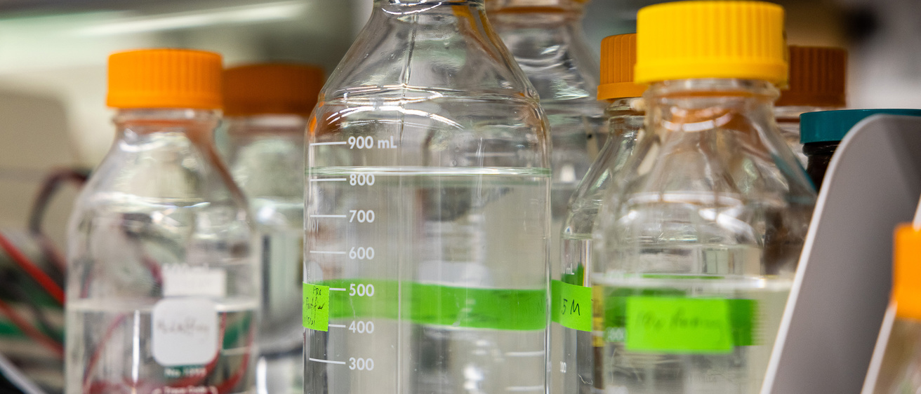 Aislinn Williams lab of bottles