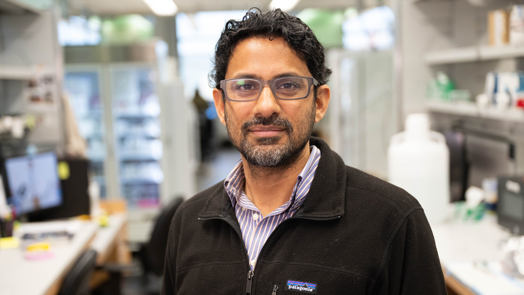 Nandakumar Narayanan, MD, PhD